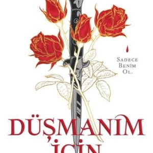 Düşmanım İçin