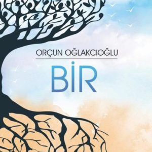 Bir